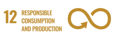 Responsible Consumption and production sustainable development goal of CIC