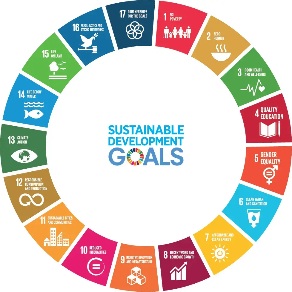 Sustainable development goals of CIC holdings