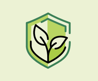 A drawing of two plant leaves in a light green background