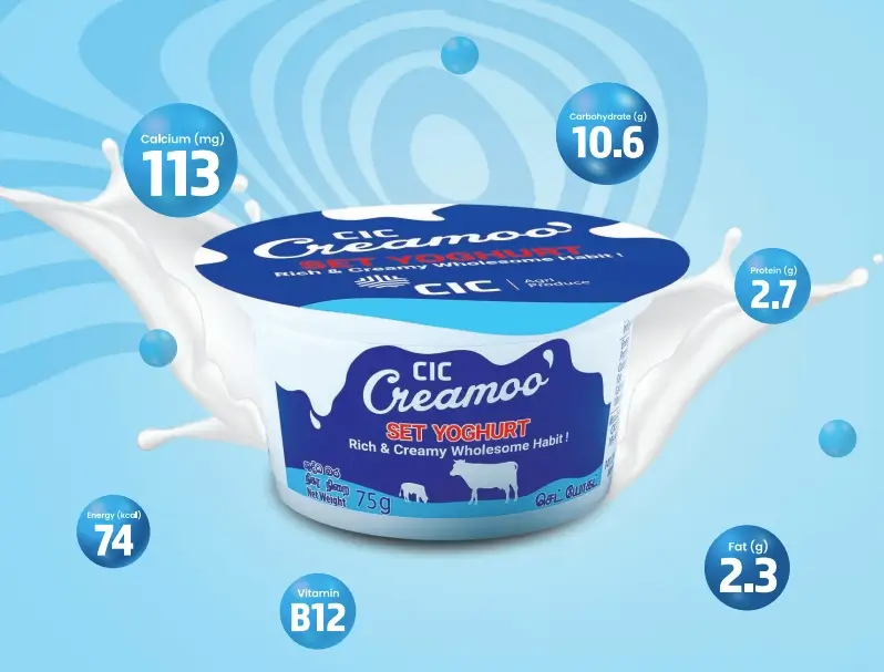 CIC Creamoo set yoghurt