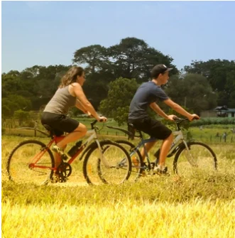 For foreign guests taking a cycling tour at CIC Farm resort