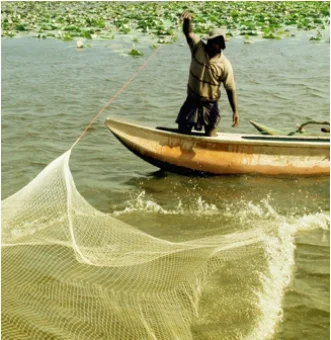 A fisherman putting a net from a boat to catch fish