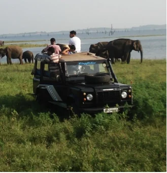 Guests of CIC agri resort watching elephants from a safari jeep