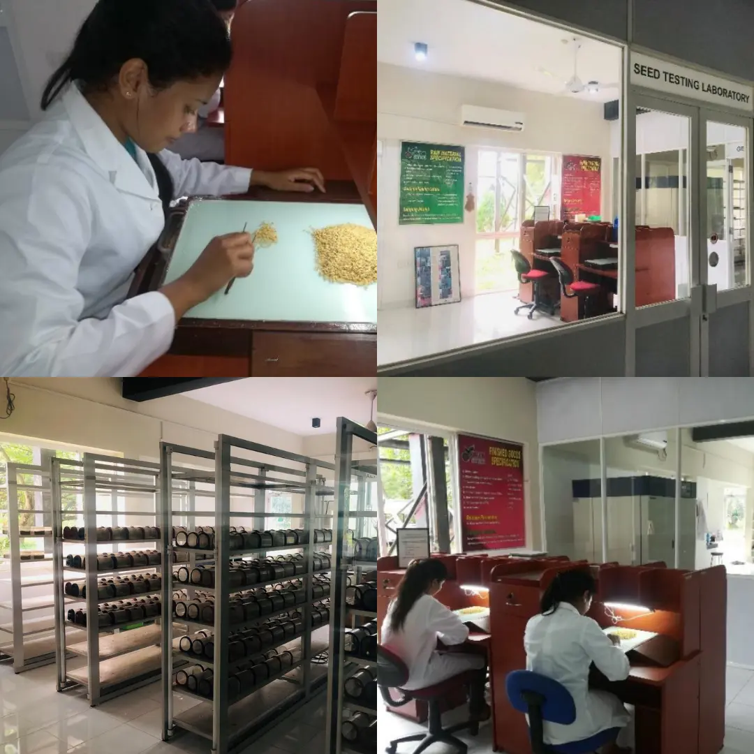 A collage that shows the CIC seed laboratory of CIC